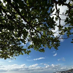 Meet your Posher, Ayat